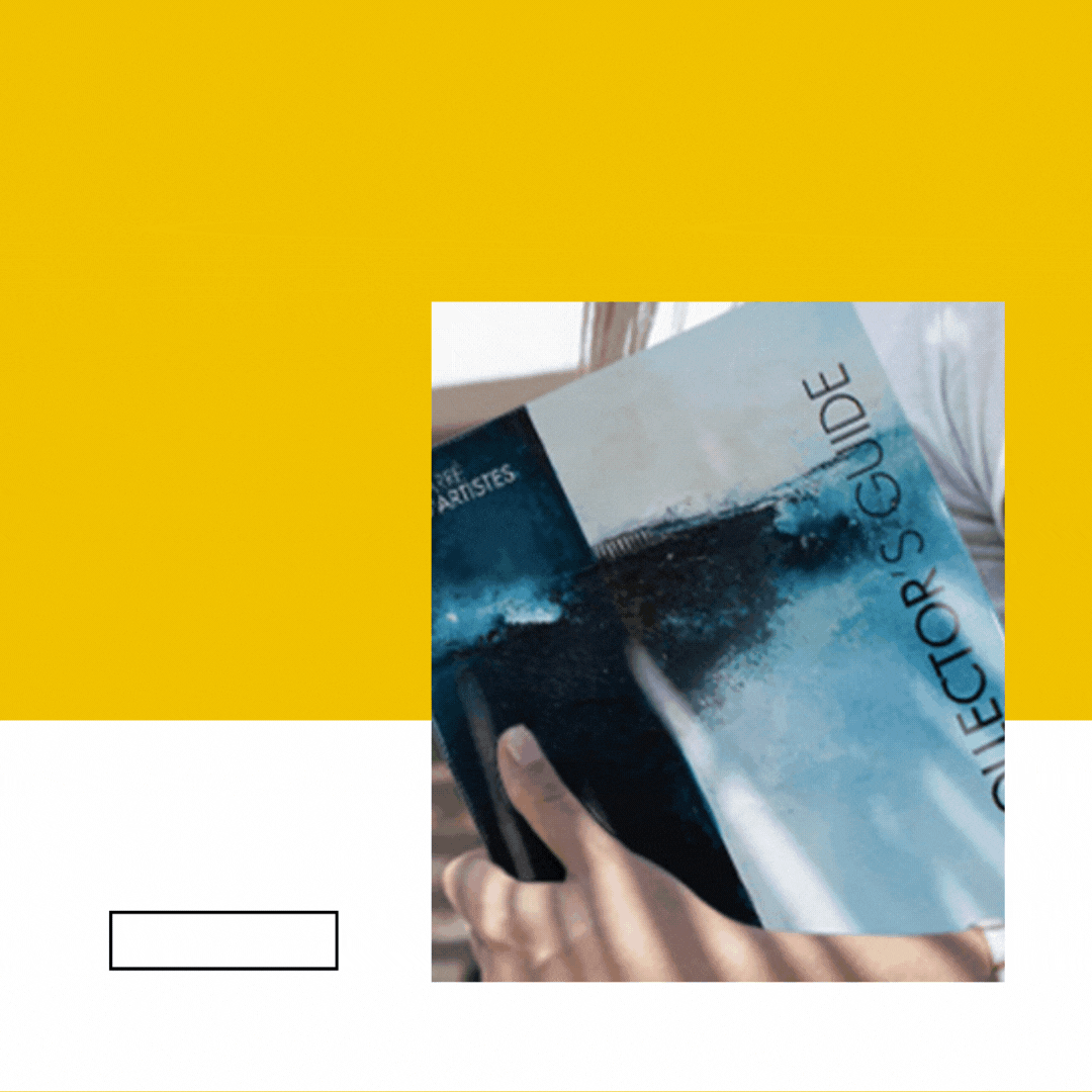 techargement du guide du neo collectionneur